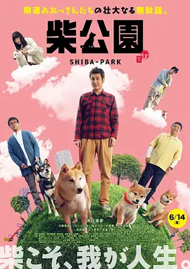 以新演员名义